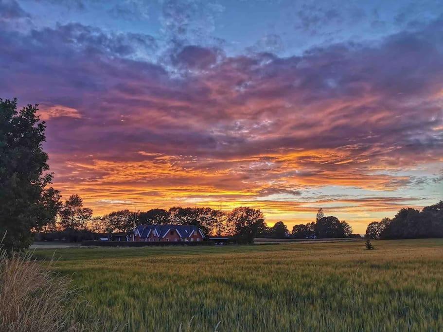 Kongsholmlund. Enjoy The Countryside. Apartment Vejby Екстериор снимка
