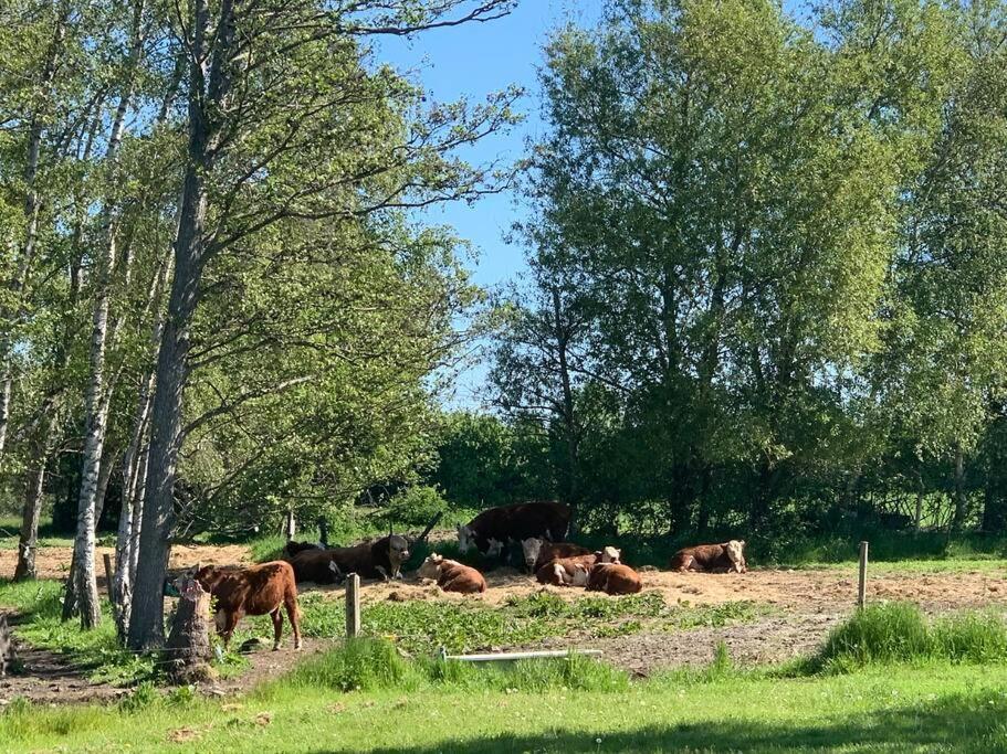 Kongsholmlund. Enjoy The Countryside. Apartment Vejby Екстериор снимка