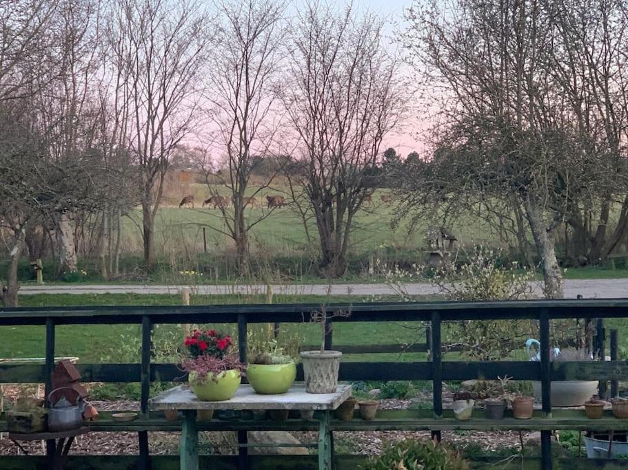Kongsholmlund. Enjoy The Countryside. Apartment Vejby Екстериор снимка